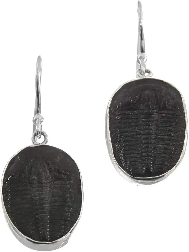Sterling Silver Earrings