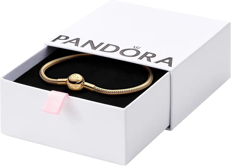 Snake Chain Bracelet